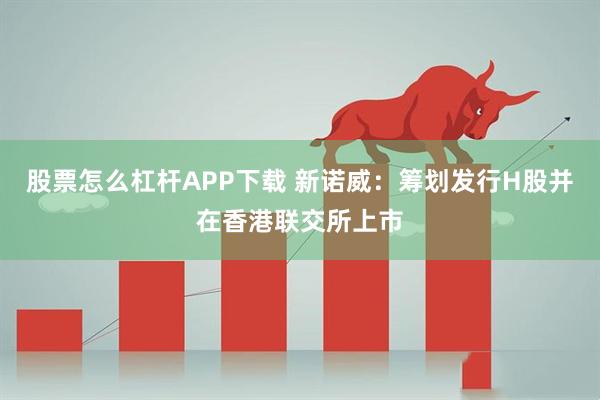 股票怎么杠杆APP下载 新诺威：筹划发行H股并在香港联交所上市