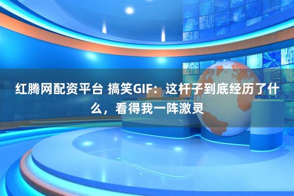 红腾网配资平台 搞笑GIF：这杆子到底经历了什么，看得我一阵激灵