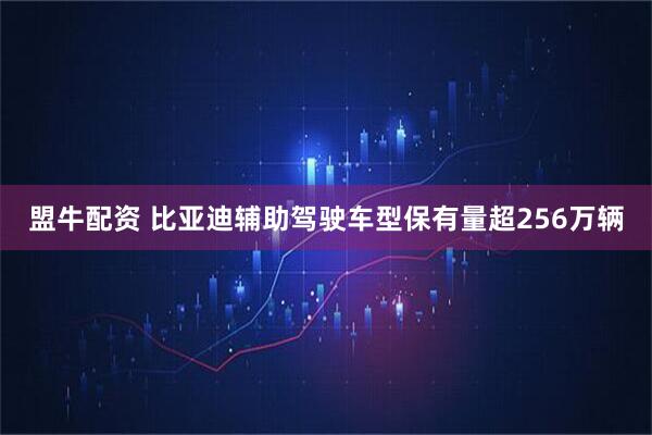 盟牛配资 比亚迪辅助驾驶车型保有量超256万辆