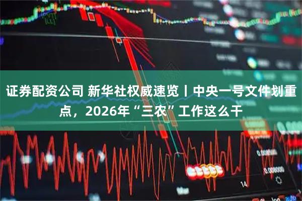 证券配资公司 新华社权威速览丨中央一号文件划重点，2026年“三农”工作这么干