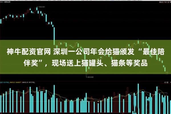 神牛配资官网 深圳一公司年会给猫颁发 “最佳陪伴奖”，现场送上猫罐头、猫条等奖品